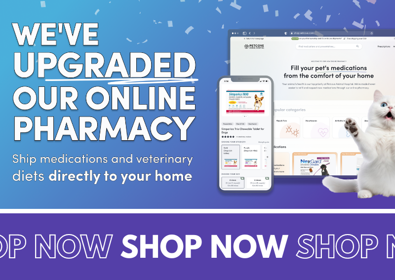 Carousel Slide 2: Check out our convenient online pharmacy!